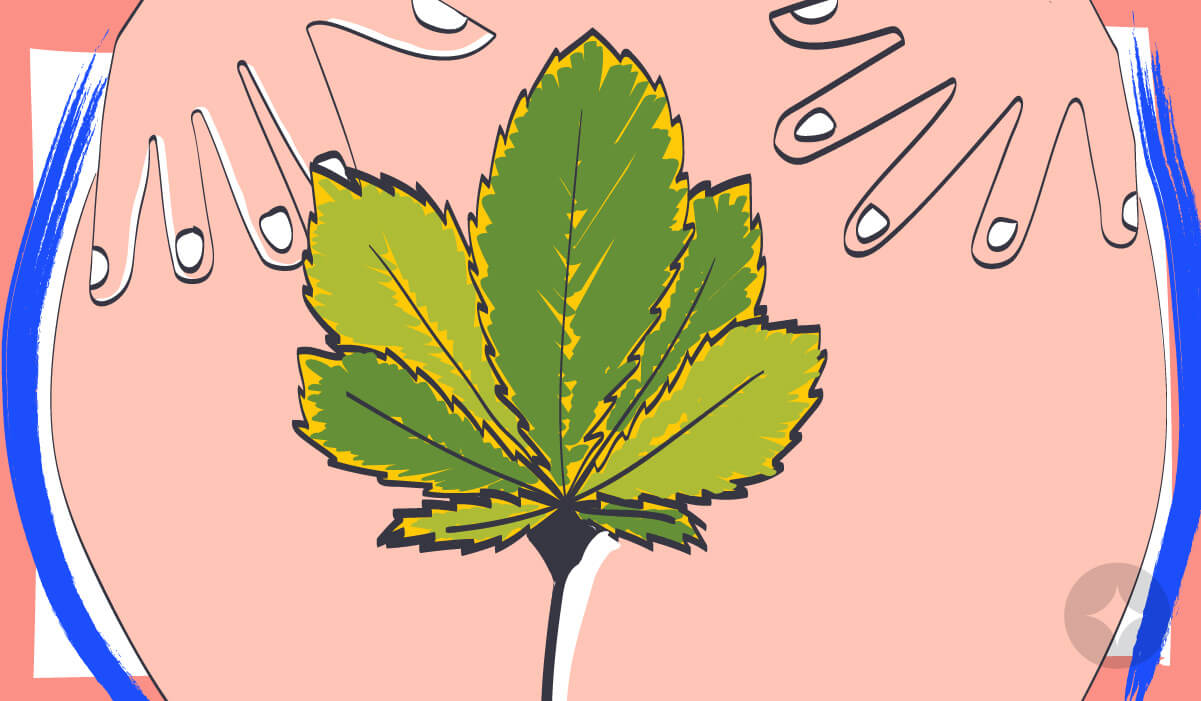 Using a cannabis suppository can alleviate menstrual pain