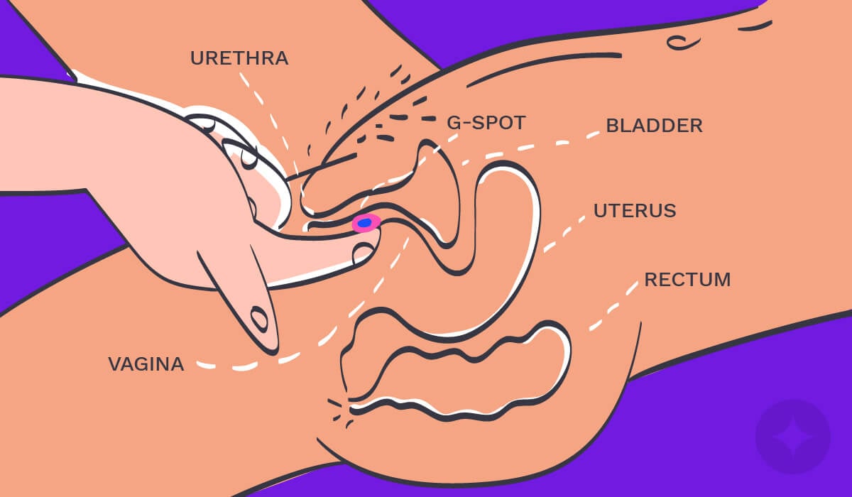 G-Spot 101: The Only Guide You Need on How to Find the G-Spot (NEW)