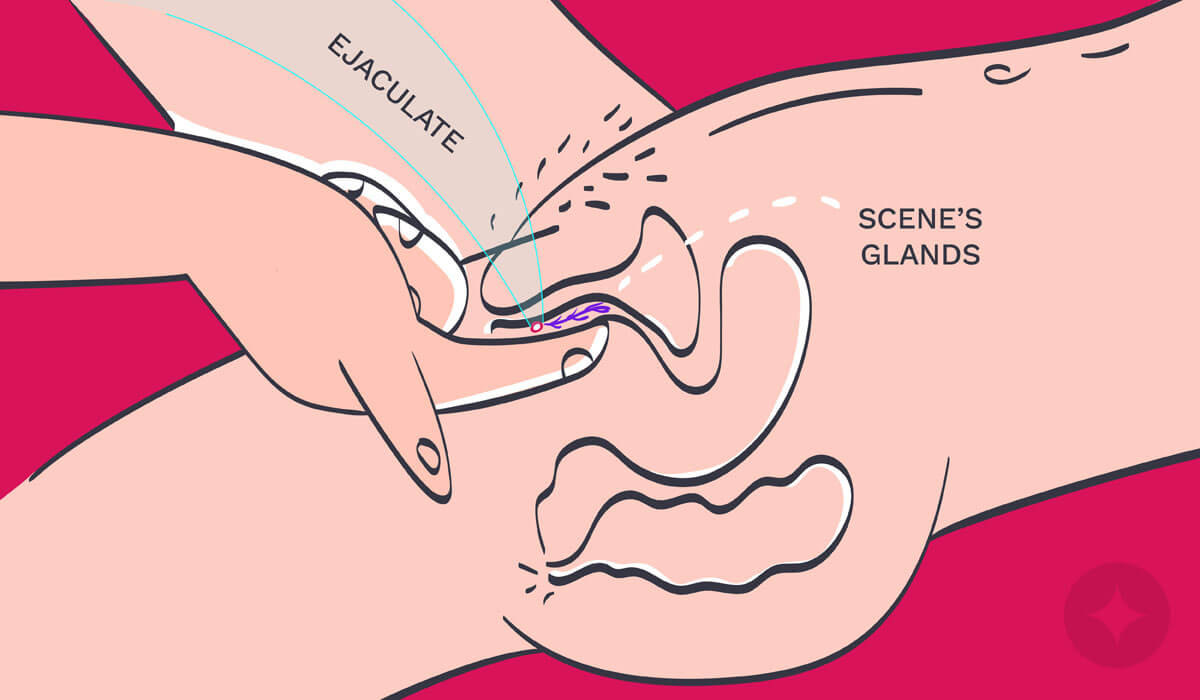 Gspot cumming