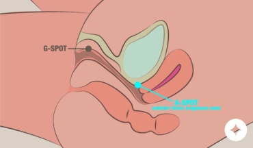 The A-Spot: What It Is, Where to Find It, and How to Stimulate It
