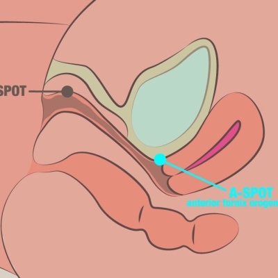 The A-Spot: What It Is, Where to Find It, and How to Stimulate It