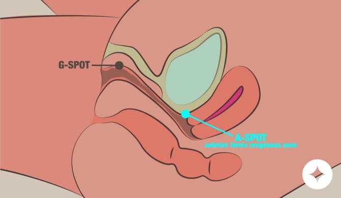 The A-Spot: What It Is, Where to Find It, and How to Stimulate It