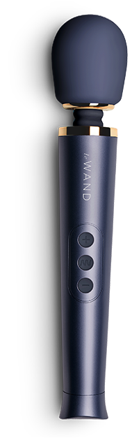 Le Wand Petite Rechargeable Massager